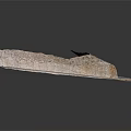 Ancient Stone Architectural Component With Curved Shape Rough Texture And White Base Edge