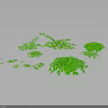 Vibrant Green Plants Featuring Various Sizes Shapes and Lush Leaves on Dark Background