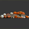 Colorful Pumpkins Pile On A Stone With Various Sizes And Natural Shapes