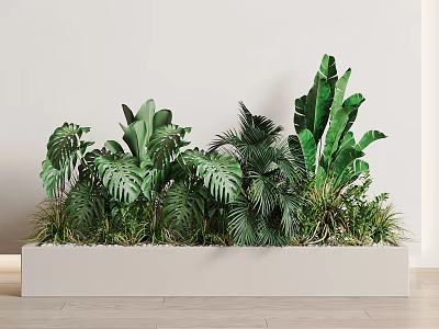 Indoor Decorative Potted Plants In White Rectangular Planter With Lush Green Foliage 3d model