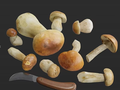 Fresh Mushrooms in Various Sizes and Colors with Kitchen Knife for Cooking 3d model