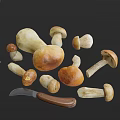 Fresh Mushrooms in Various Sizes and Colors with Kitchen Knife for Cooking