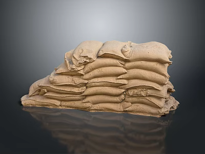 High Quality Reusable Sandbags for Home Emergency Flood Protection and Use 3d model