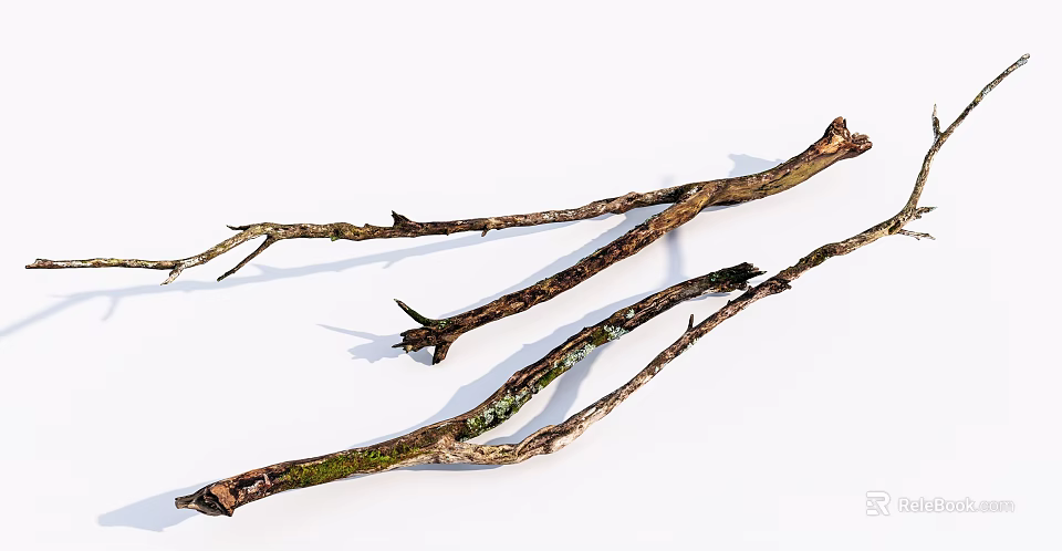 Rustic Stone Wood Branches With Natural Textures And Green Moss 3d model 