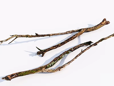 Rustic Stone Wood Branches With Natural Textures And Green Moss 3d model