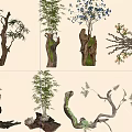 Decorative Bonsai Potted Plants With Natural Branch Shapes Ferns Bamboo And Flowering Twigs