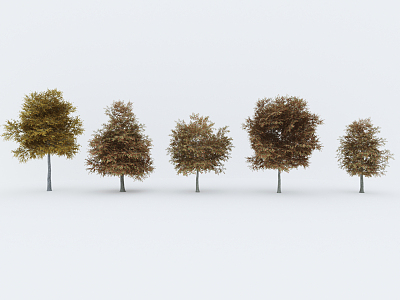 Autumn Tree Modern Tree 3d model