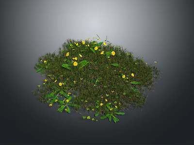 Lush Green Herbaceous Plant Cluster With Tiny Bright Yellow Flowers 3d model