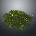 Lush Green Herbaceous Plant Cluster With Tiny Bright Yellow Flowers 3d model