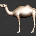 Brown Camel Standing On Black Background With Detailed Texture And Reflection 3d model