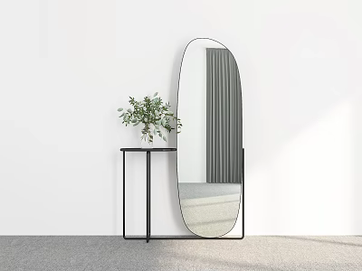 Oval Wall Mirror Leaning Against White Wall With Black Side Table And Green Plant 3d model