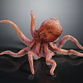 Reddish Brown Octopus Model with Extended Tentacles on Black Background with Reflection 3d model