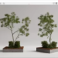Modern Tree Pool Landscape Tree Pool 3d model