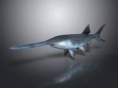 Gray Sawfish With Long Snout In Swimming Pose On Dark Background 3d model