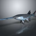 Gray Sawfish With Long Snout In Swimming Pose On Dark Background