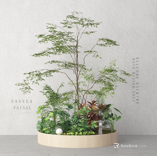 Tall Arbor Plant In Large Planter With Lush Green Leaves And Various Small Plants 3d model 