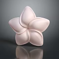 Light Pink Flower With Five Petals On Dark Background Showing Reflection 3d model