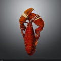 Whole Red Lobster with Claws and Antennae Isolated on Gray Background Close Up View