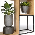 Stylish Indoor Garden Plant Display With Wooden Shelves Gray Planters And Various Green Plants