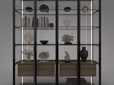 Modern Glass Door Display Cabinet Shelf With Metal Frame Multiple Shelves And Decorative Shells Coral 3d model