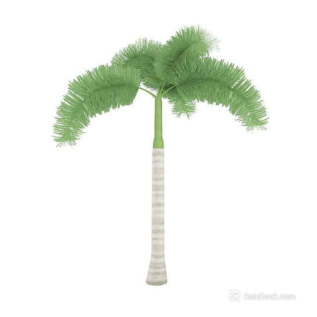 Tall Palm Tree With Feathery Green Fronds And Light Striped Trunk 3d model 