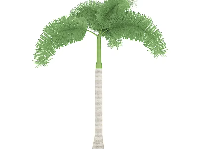Tall Palm Tree With Feathery Green Fronds And Light Striped Trunk 3d model