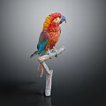 Vibrant Colorful Parrot with Detailed Feathers Perched on Wooden Branch Against Gray Background