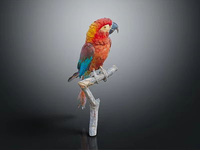 Vibrant Colorful Parrot with Detailed Feathers Perched on Wooden Branch Against Gray Background 3d model