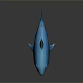 Blue Shark 3D Rendered Model With Sharp Teeth And Fins Against Black Background