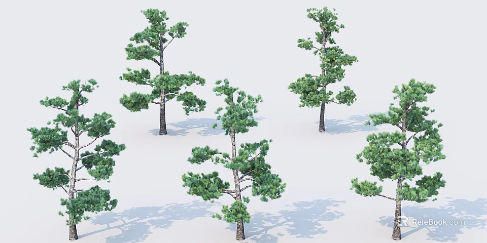 Multiple Green Arbor Trees With Tall Trunks And Lush Leafy Canopies 3d model