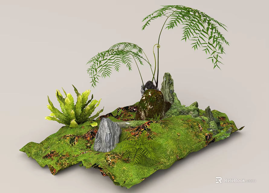 Natural Plant Combination With Various Ferns Decorative Rocks And Moss Covered Ground 3d model 