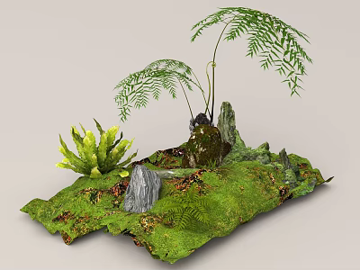 Natural Plant Combination With Various Ferns Decorative Rocks And Moss Covered Ground 3d model