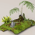 Natural Plant Combination With Various Ferns Decorative Rocks And Moss Covered Ground