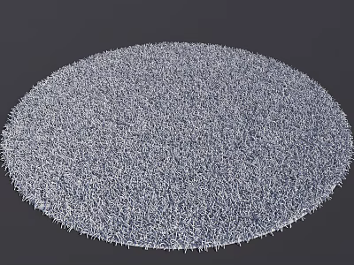 Round Area Rug with Soft Textured Surface in Light Gray 3d model