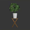 Monstera Plant with Lush Green Leaves in White Pot on Wooden Stool Against Dark Background