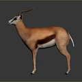 Standing 3D Antelope Model With Brown White Fur Curved Horns Dark Background