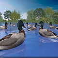 Ducks Swimming In Natural Water With Green Trees And Reflections