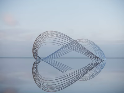 Metal Wire Sculpture With Intertwined Curves And Reflection On Water Surface 3d model