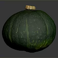 Fresh Green Pumpkin With Striped Surface And Yellow Stem As Organic Vegetable