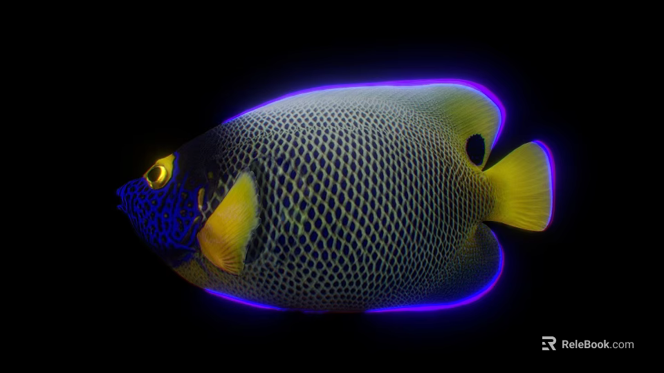 Vibrant Tropical Angelfish With Blue Face Yellow Fins Net Like Body And Purple Edges 3d model 