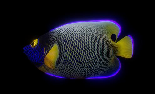 Modern Fish 3d model