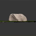 Natural Outdoor Moss Covered Ground With Large Stone Small Plants And Feather