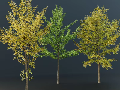 Three Tall Trees With Vibrant Green And Golden Yellow Foliage In Natural Outdoor Setting 3d model