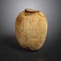 Fresh Organic Lotus Root With Natural Brown Spots And Smooth Surface Texture