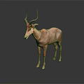 Pink Antelope Standing With Long Horns On Dark Background Showing Reflection 3d model