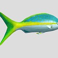 Yellow Snapper Marine Fish 3d model