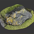 Natural Rock Formation With Yellow Moss On Green Grass Surface Surrounded By Small Plants
