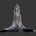 Colorful Tree Stump with Textured Roots Weathered Surface and Natural Patterns