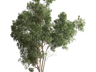 Lush Green Arbor Tree With Multiple Trunks And Natural Foliage 3d model