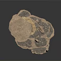 Wood And Stone Decorative Sculpture With Stacked Natural Textured Layers
